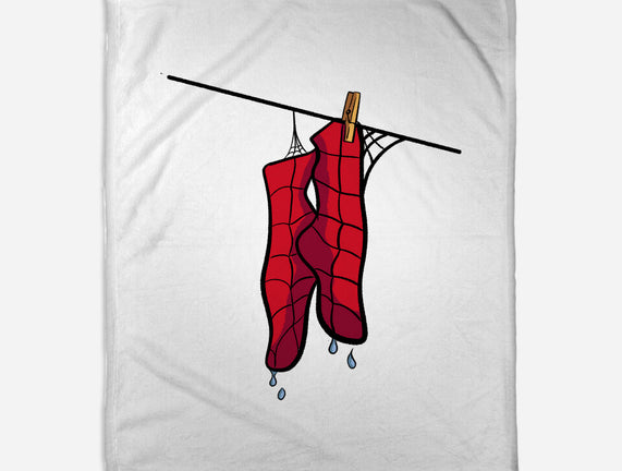 Spider Laundry Day