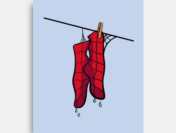 Spider Laundry Day
