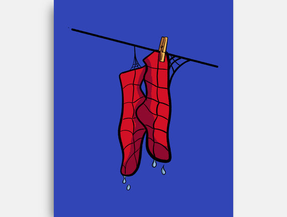 Spider Laundry Day