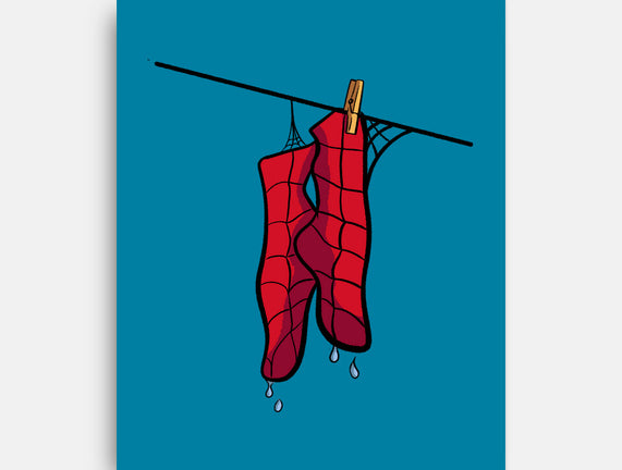 Spider Laundry Day