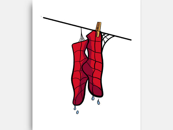 Spider Laundry Day