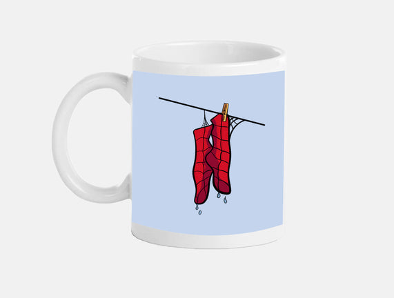 Spider Laundry Day