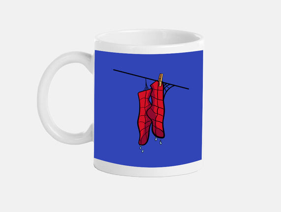 Spider Laundry Day