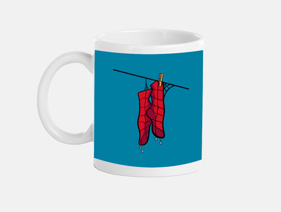 Spider Laundry Day