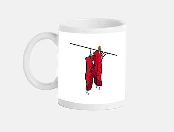 Spider Laundry Day