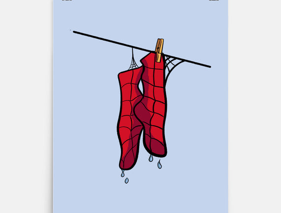 Spider Laundry Day