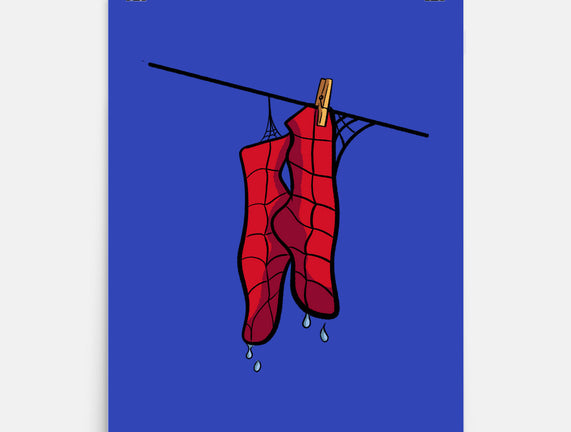 Spider Laundry Day
