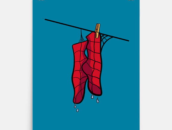 Spider Laundry Day