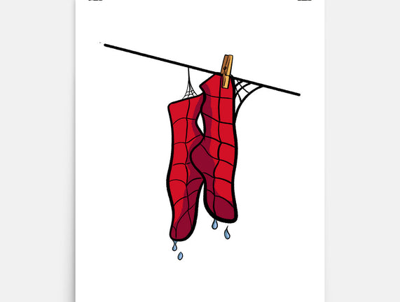 Spider Laundry Day