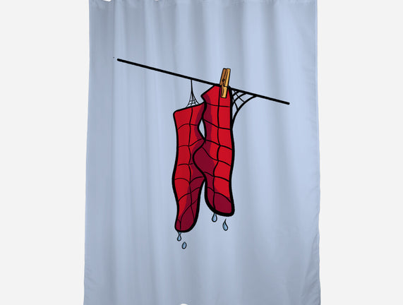 Spider Laundry Day