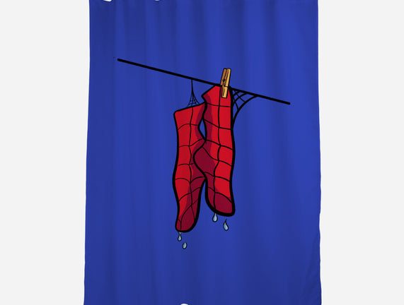 Spider Laundry Day