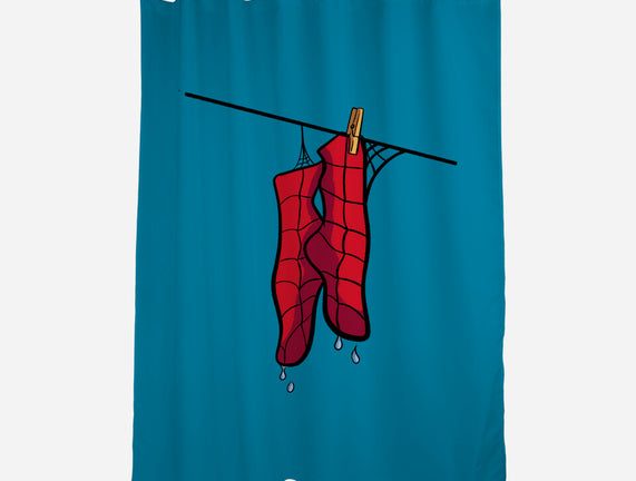 Spider Laundry Day