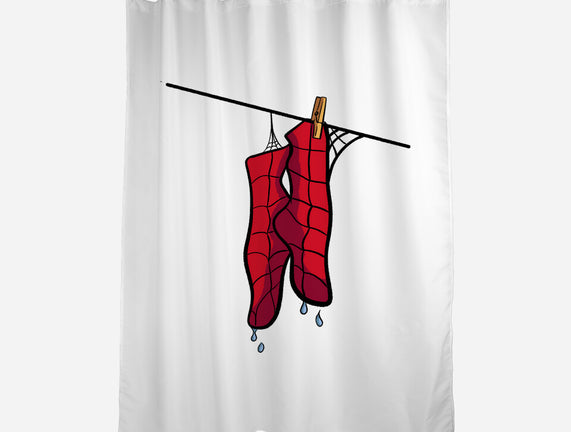 Spider Laundry Day