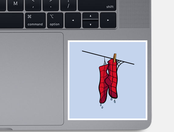 Spider Laundry Day