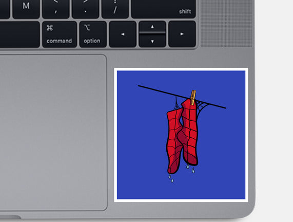 Spider Laundry Day