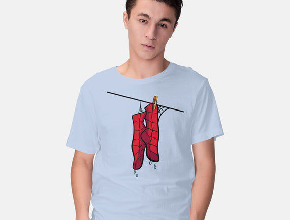Spider Laundry Day