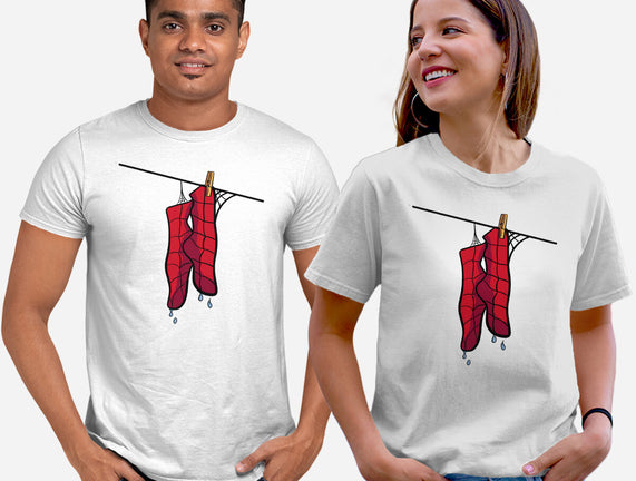 Spider Laundry Day
