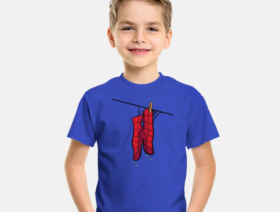 Spider Laundry Day