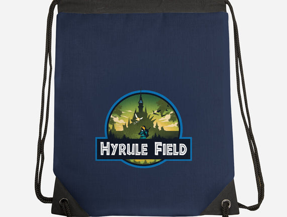 Hyrule Field