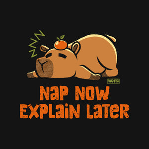 Nap Now Explain Later