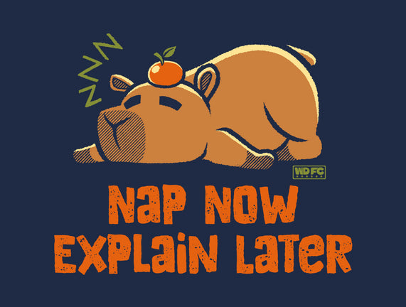Nap Now Explain Later