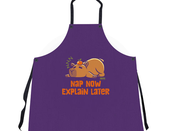 Nap Now Explain Later