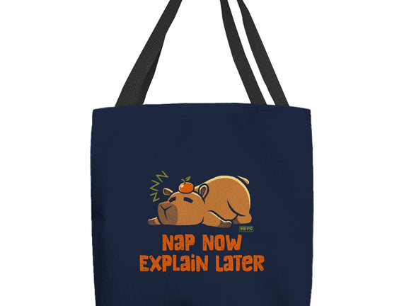 Nap Now Explain Later