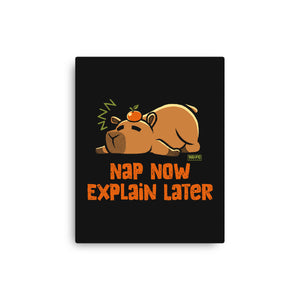 Nap Now Explain Later