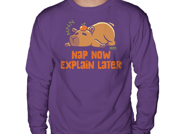 Nap Now Explain Later