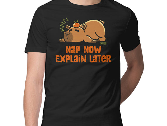 Nap Now Explain Later