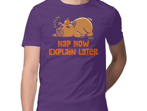 Nap Now Explain Later