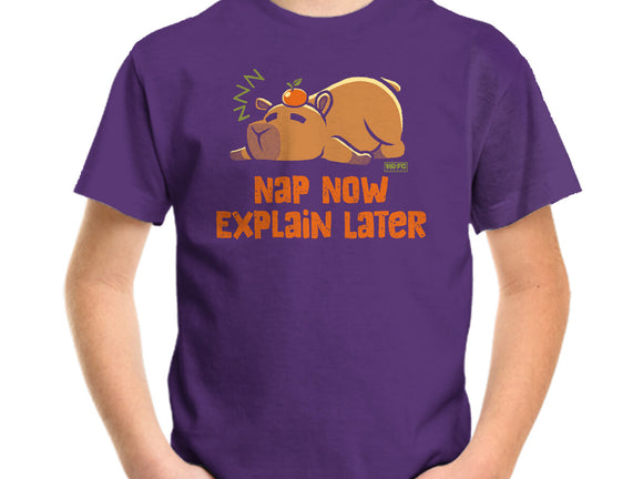 Nap Now Explain Later