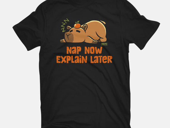 Nap Now Explain Later