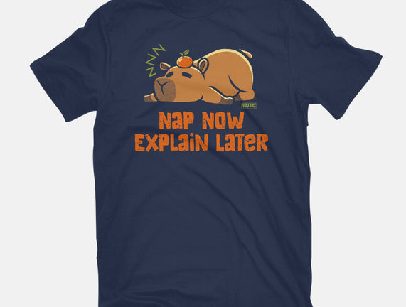 Nap Now Explain Later