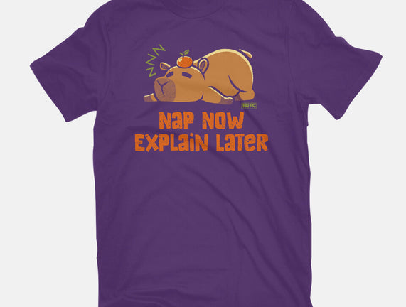 Nap Now Explain Later