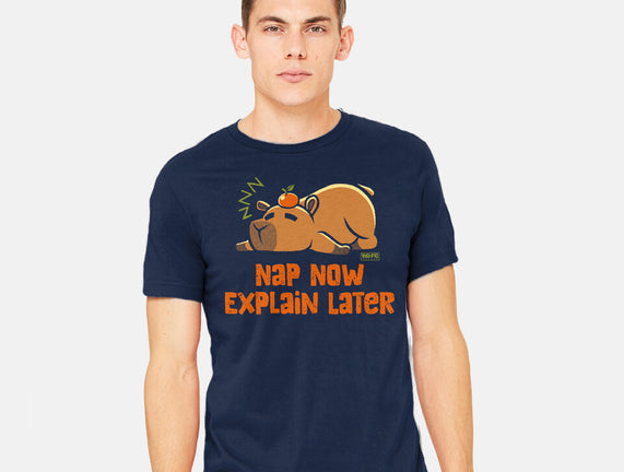 Nap Now Explain Later
