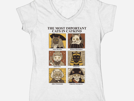 Cats In Catkind