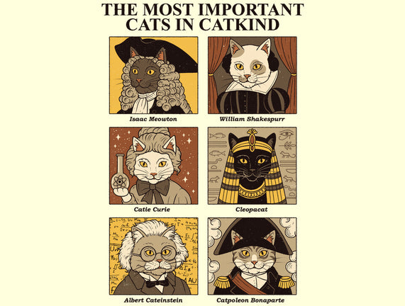 Cats In Catkind