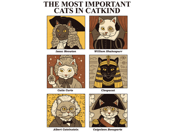 Cats In Catkind