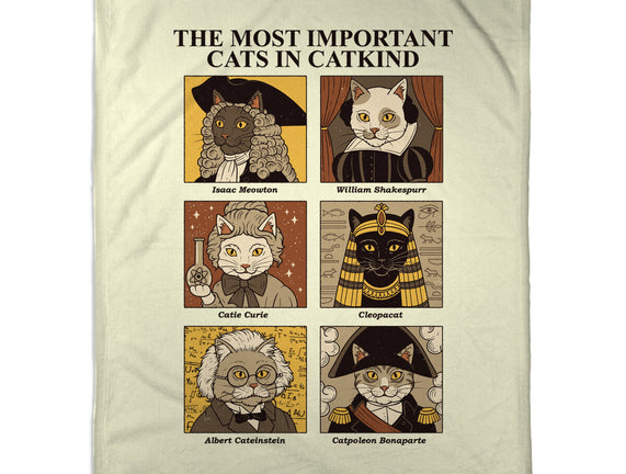 Cats In Catkind