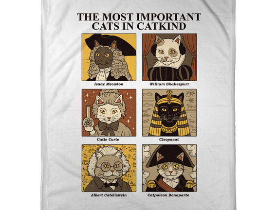 Cats In Catkind