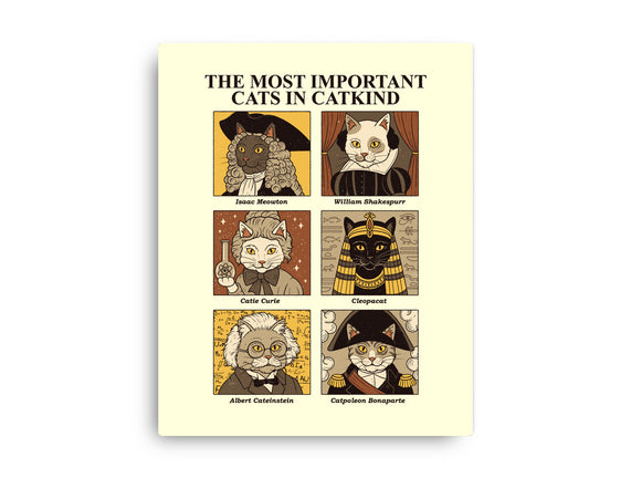 Cats In Catkind