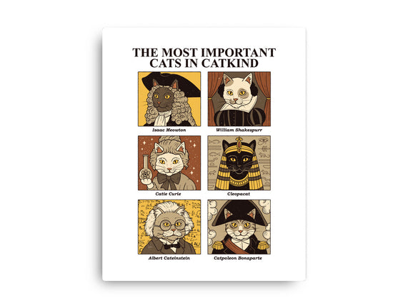 Cats In Catkind
