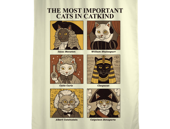 Cats In Catkind