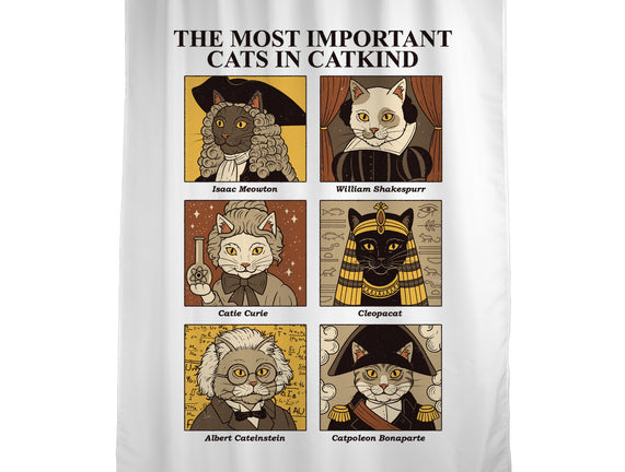 Cats In Catkind