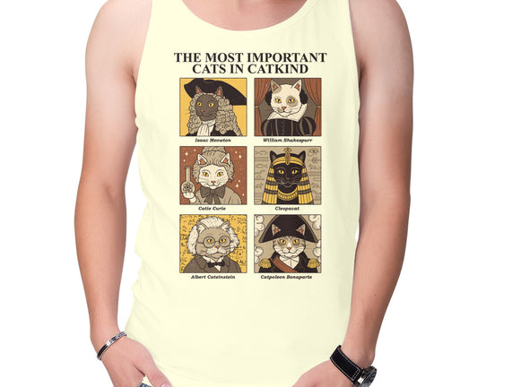 Cats In Catkind