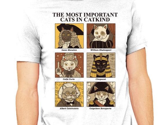 Cats In Catkind