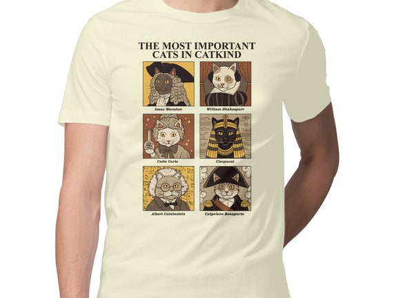 Cats In Catkind