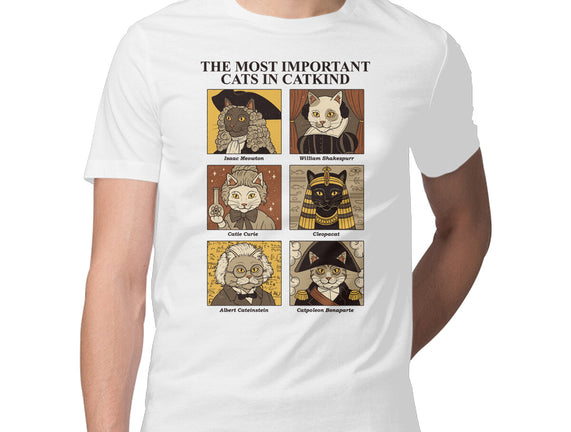 Cats In Catkind