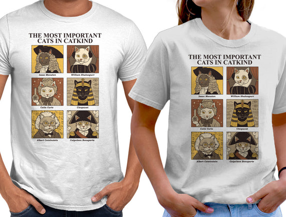 Cats In Catkind